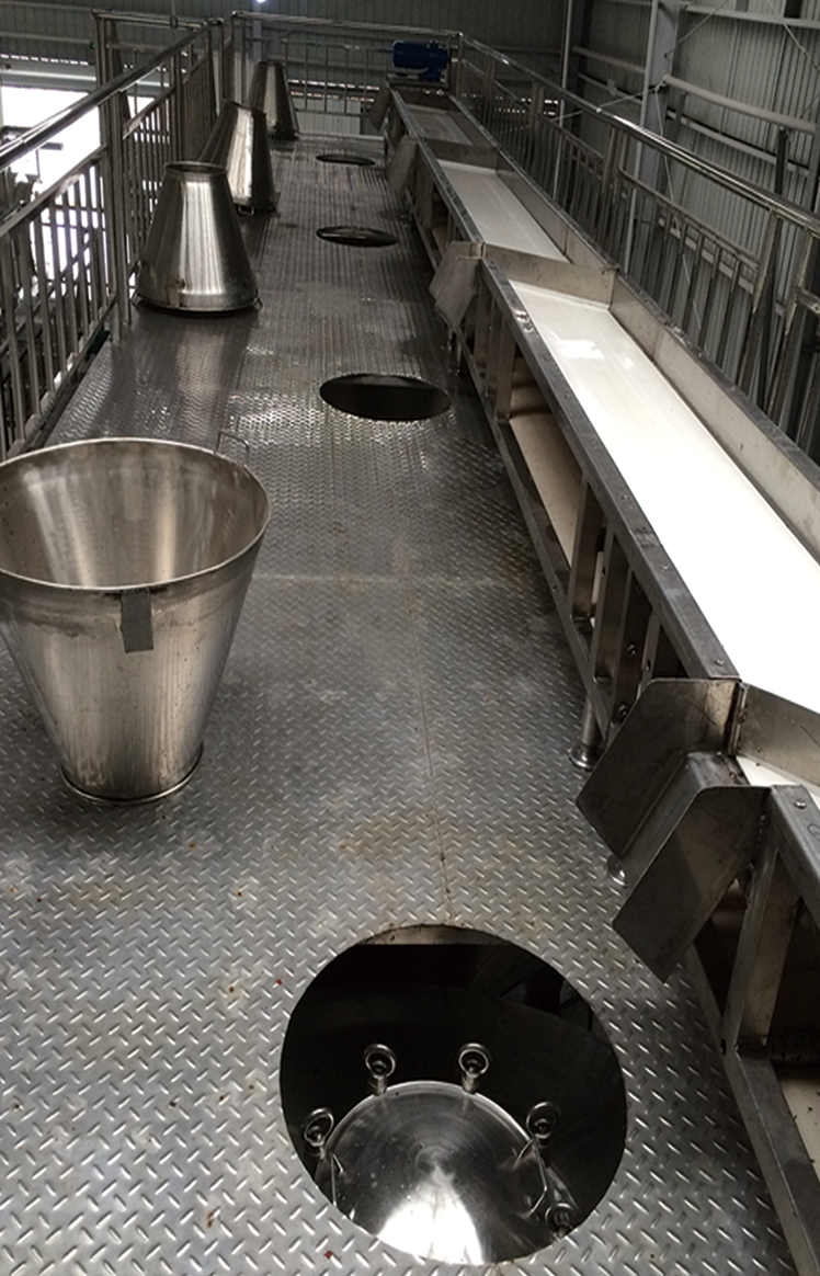 皮帶輸送機(jī)(圖1)